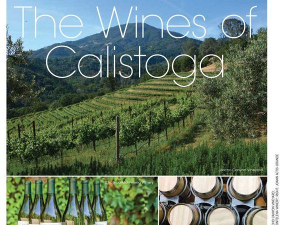taste-of-the-seacoast-wine-coverage-2016