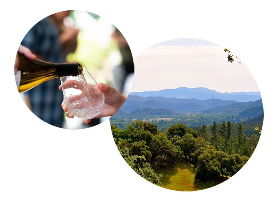 Wine and Sky view of Calistoga in circles