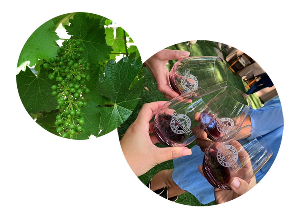 two images in circles - wine cheers and your grapes on vine