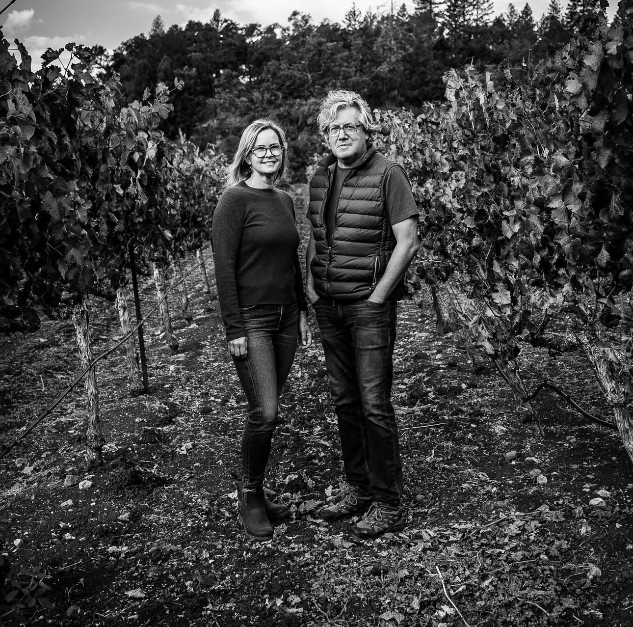 Kokonas Family Vineyards